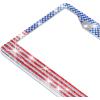 imageBDK Heavy Duty RustProof StainlessSteel Metal USA United States Flag Rhinestone Sparkly Sparkling Diamond Crystal Bling License Plate Frame Universal Size for Car Truck SUVSparkle Flag